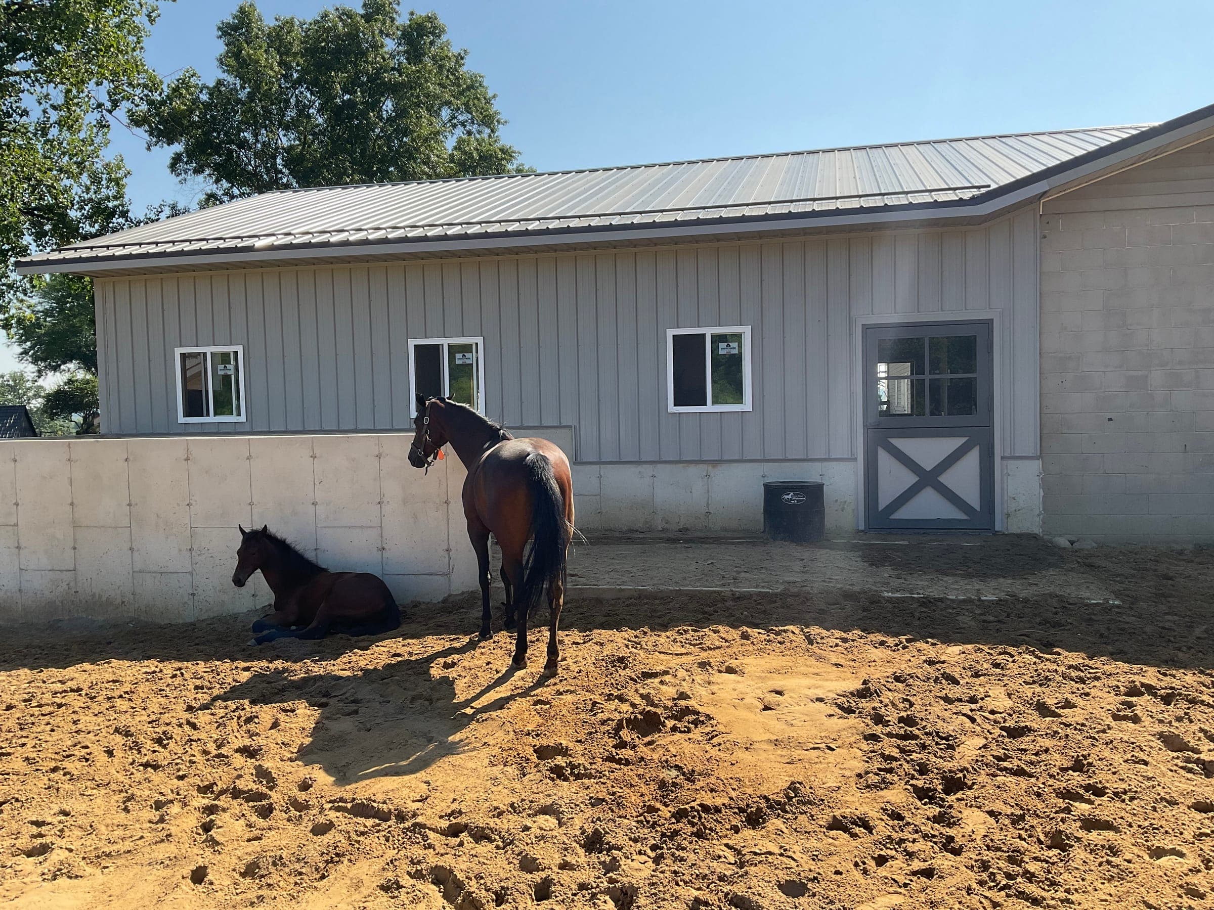 Finished horse barn with two horses in paddock built by Starlite Builders in Northern Indiana