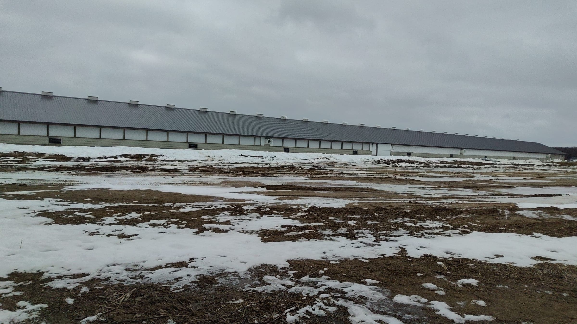 Long livestock barn with steel siding in winter snow in Northern Indiana