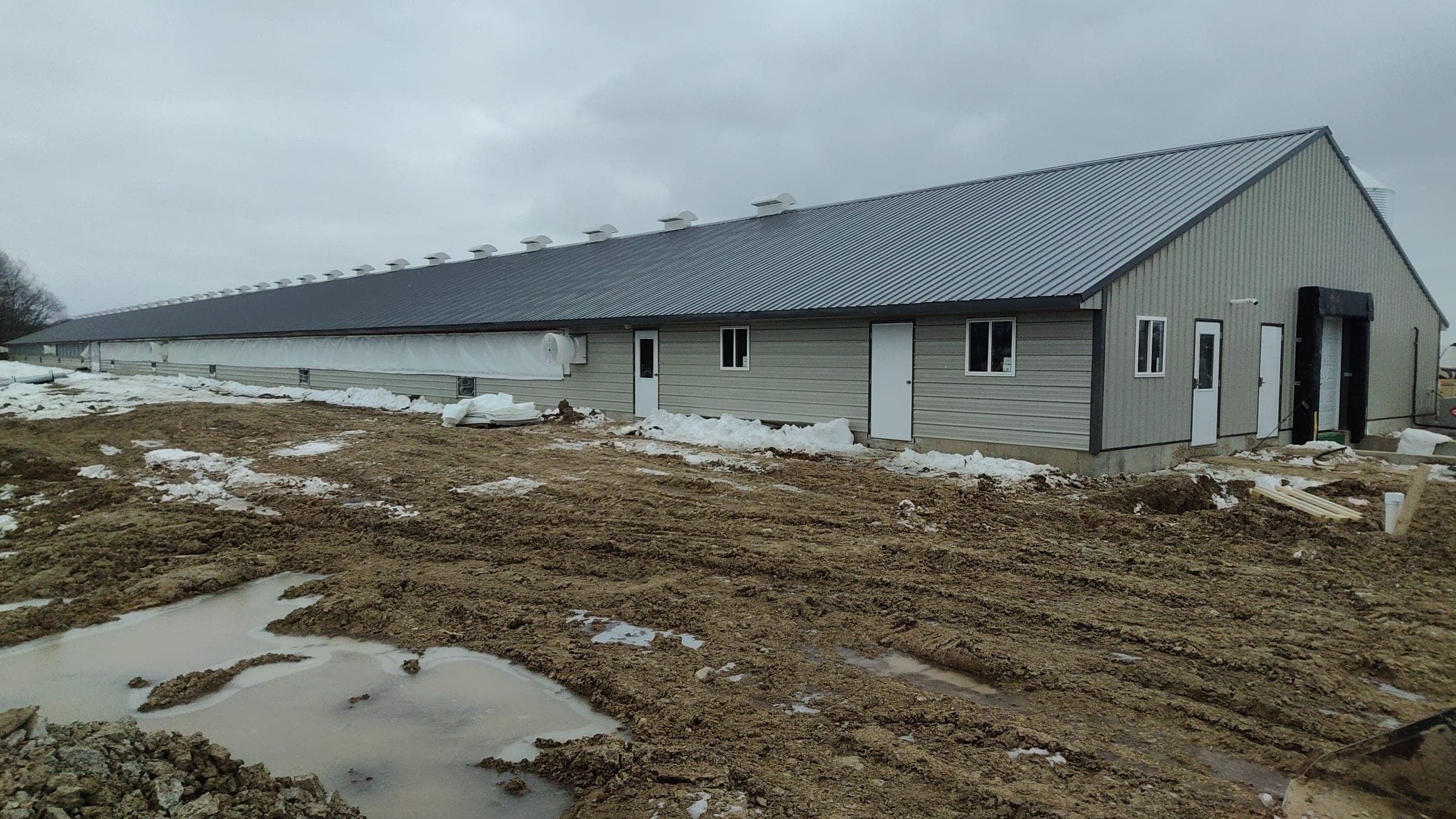 Large poultry barn with roof ventilation caps built by Starlite Builders in Northern Indiana